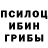 Псилоцибиновые грибы прущие грибы Kapuaht,+