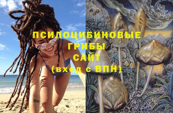 стафф Магадан