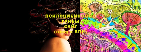 стафф Магадан