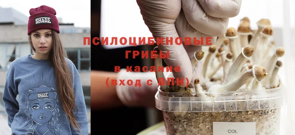 тгк Майский