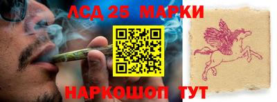 индика Лесосибирск