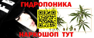 дмт Ливны