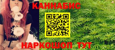 индика Лесосибирск
