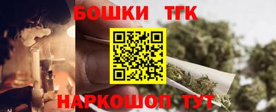 индика Лесосибирск
