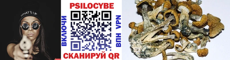 Псилоцибиновые грибы Magic Shrooms Партизанск