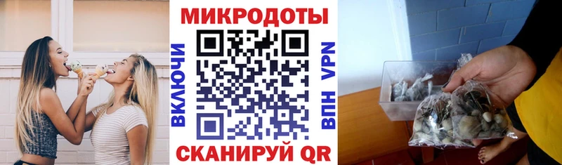 что такое наркотик  кракен маркетплейс  Псилоцибиновые грибы Psilocybine cubensis  Партизанск 